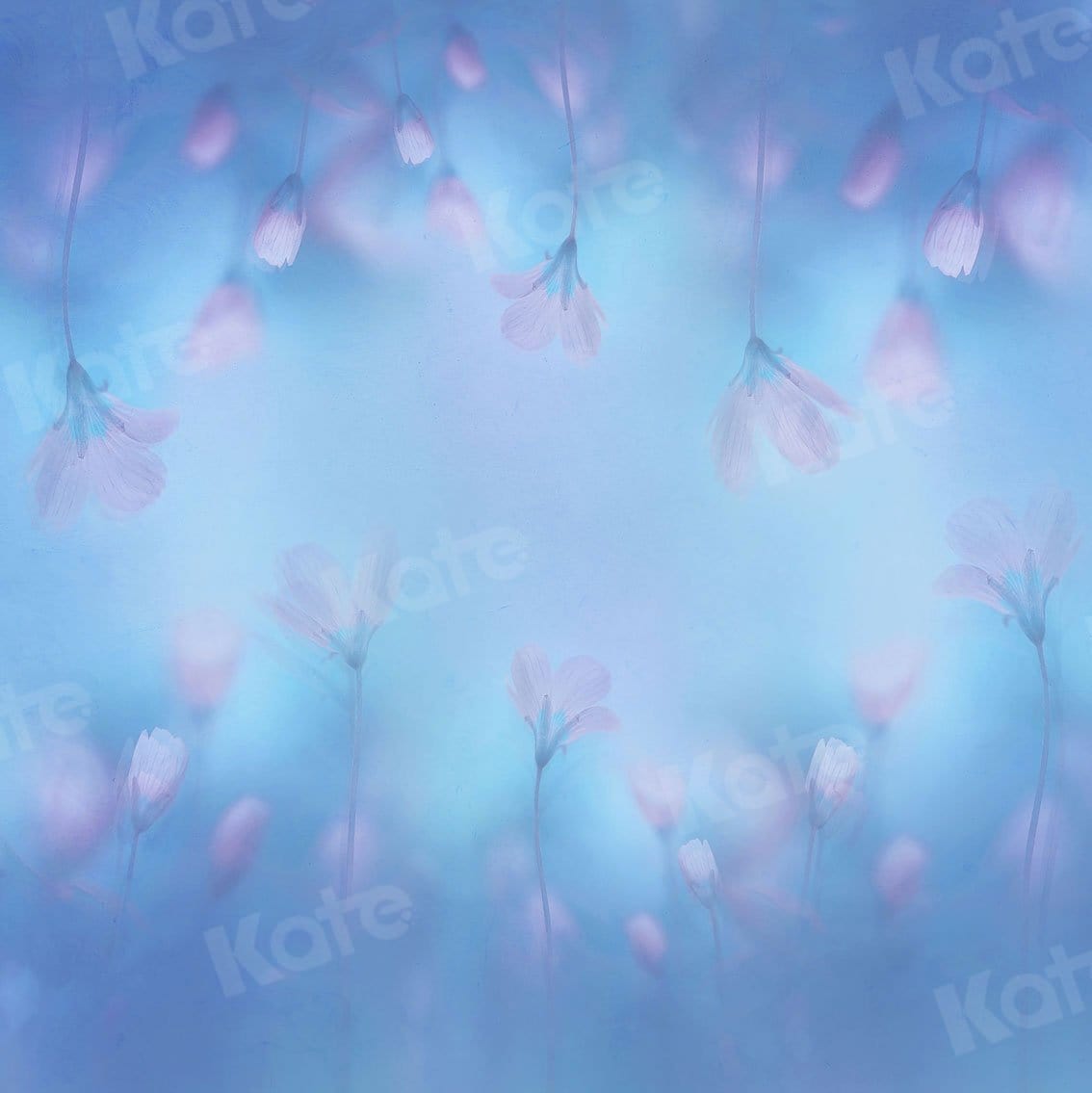 Kate Fine Art Light Pink Florals Blue Backdrop for Photography - Kate Backdrop