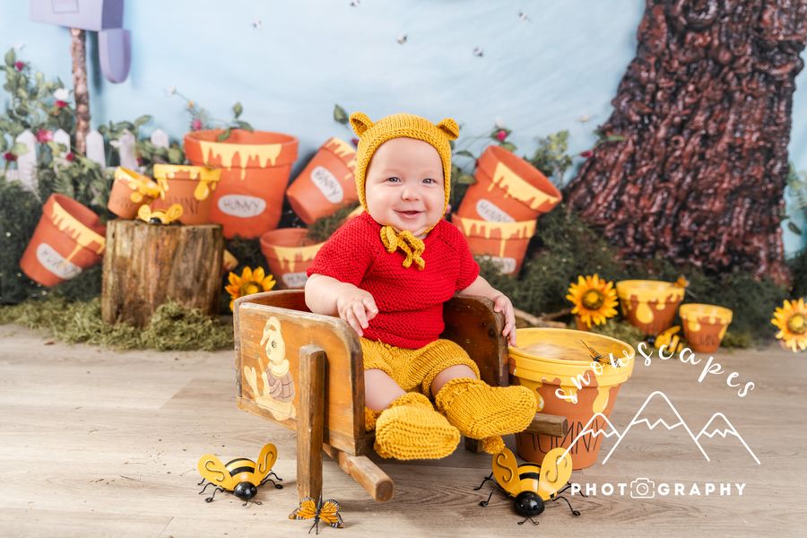 Kate Cake Smash Bees and Honey Backdrop Designed by Arica Kirby - Kate Backdrop