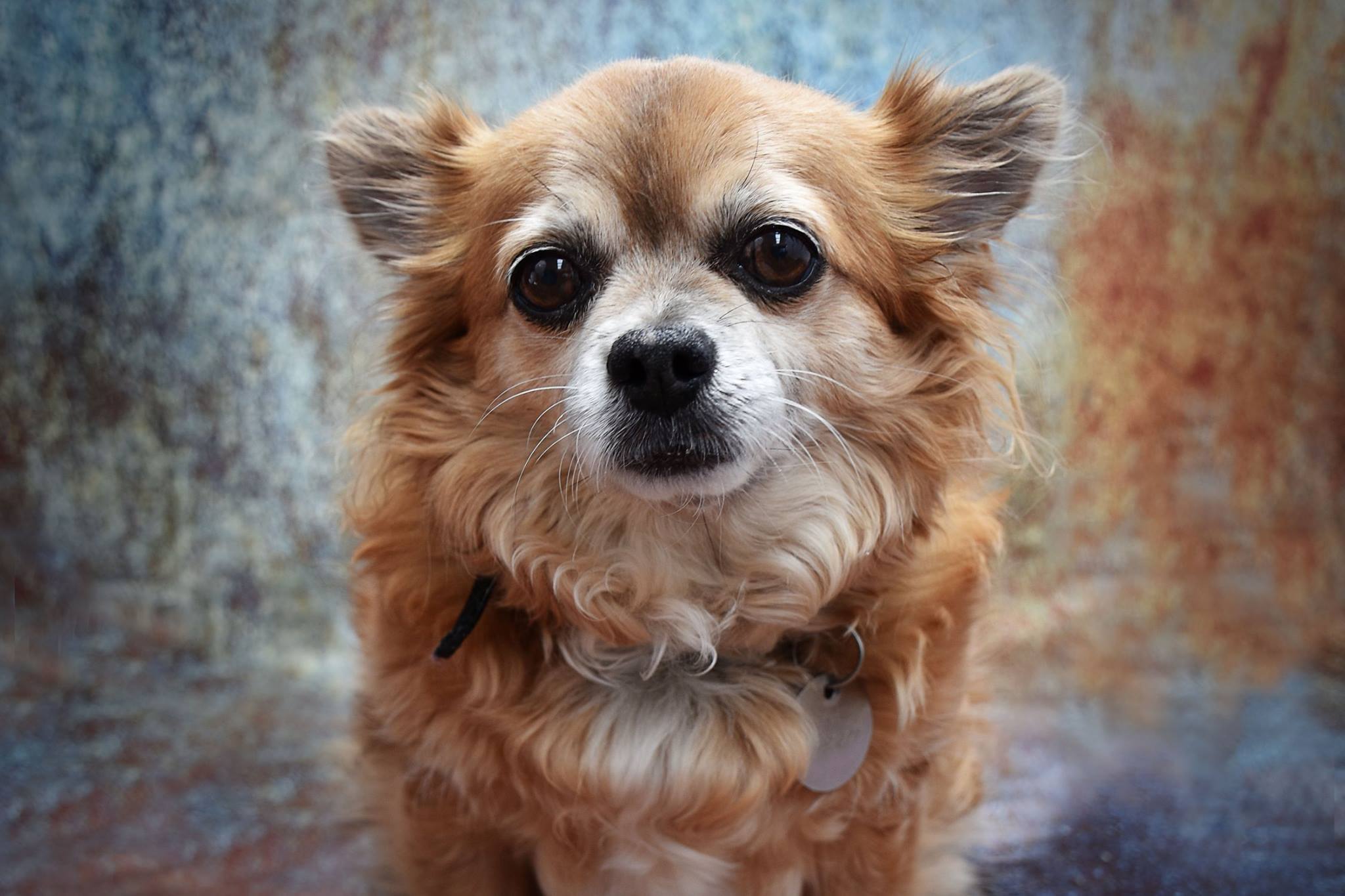 Kate Abstract Vintage Rust color Textured Wall Rusty Backdrop - Katebackdrop