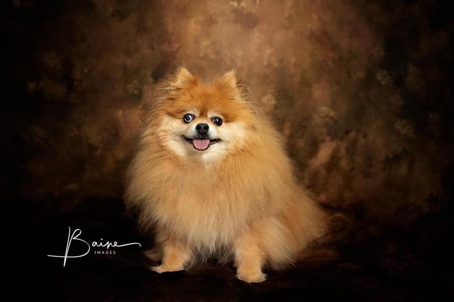 Kate Like Oil Painting Background Abstract Texture Backdrops For Photography - Katebackdrop