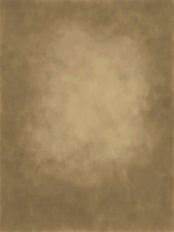 Kate Gold little brown Texture Abstract Background Photos Backdrop - Katebackdrop