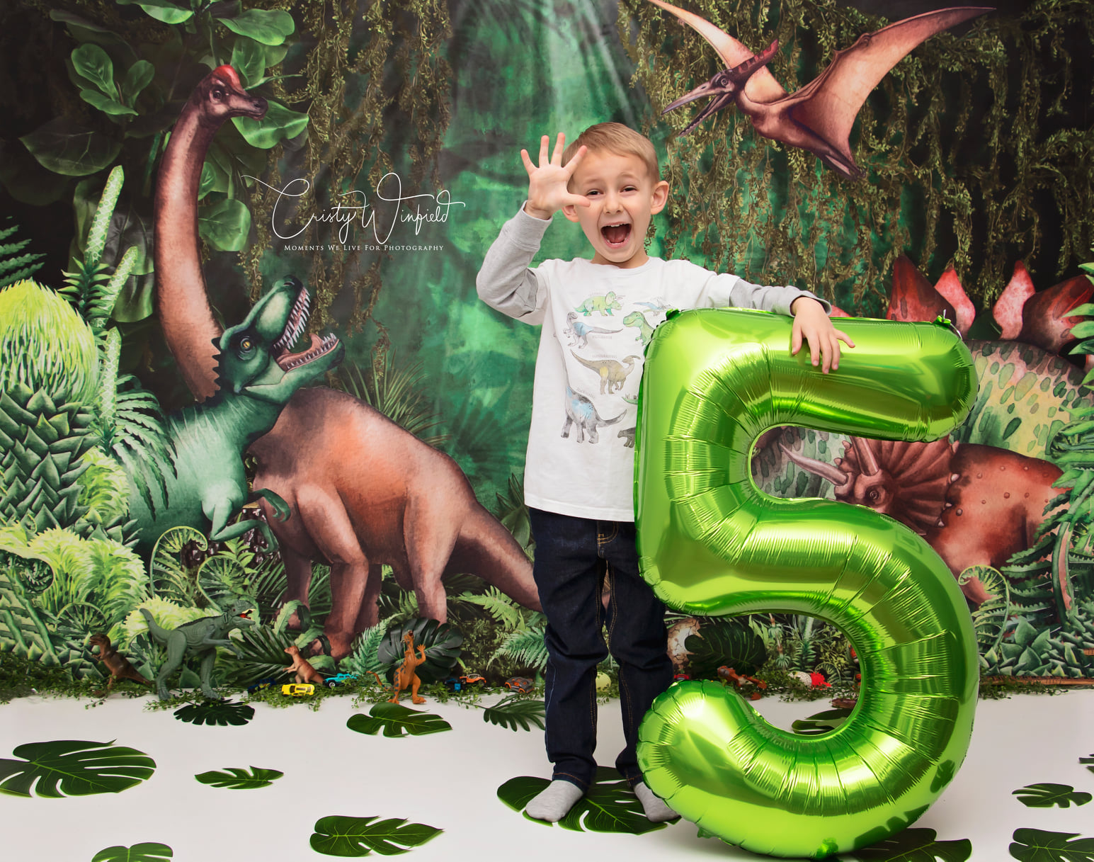 Kate Summer Jungle Adventure Dinosaurs Backdrop Designed by Mandy Ringe Photography - Kate Backdrop