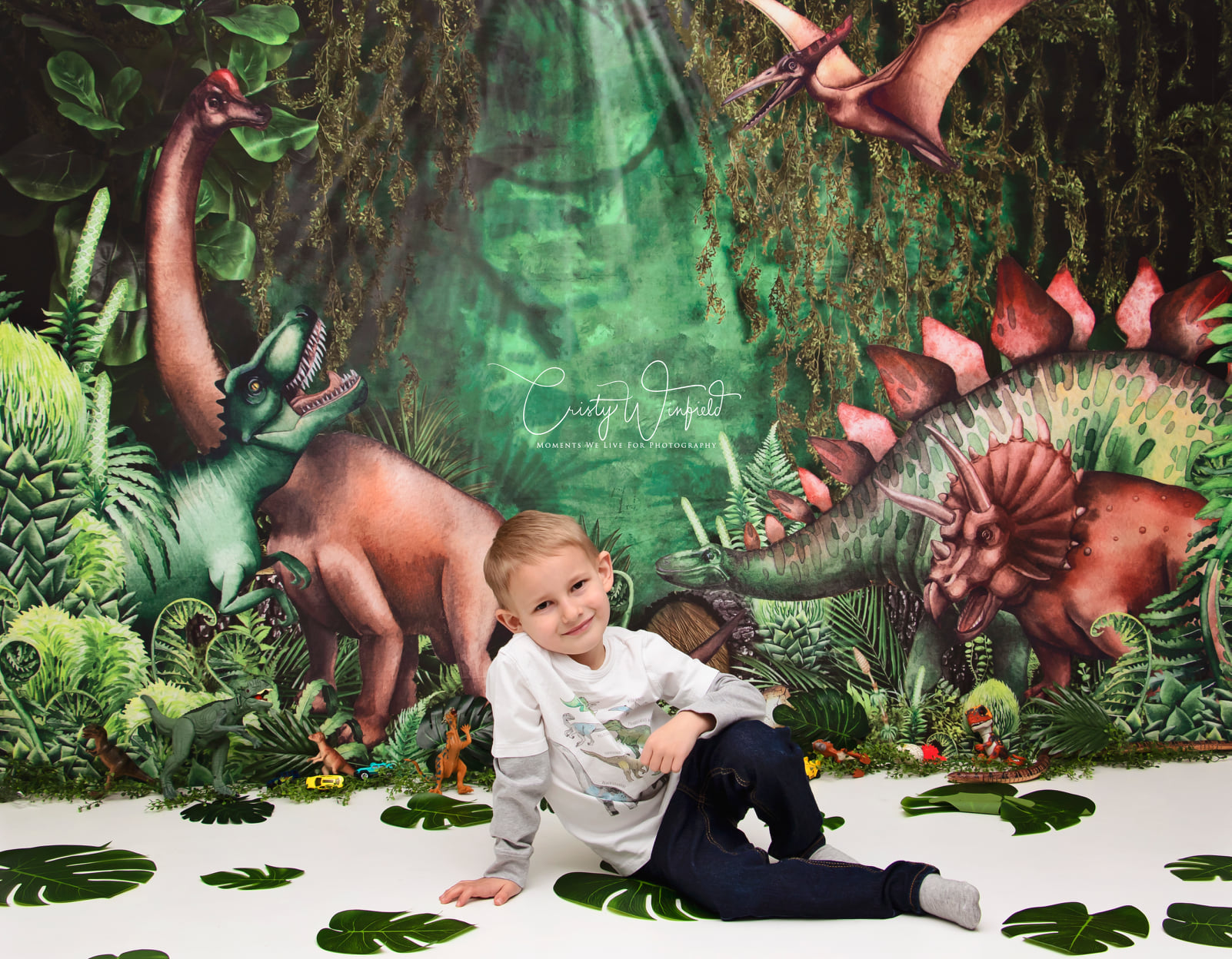 Kate Summer Jungle Adventure Dinosaurs Backdrop Designed by Mandy Ringe Photography - Kate Backdrop