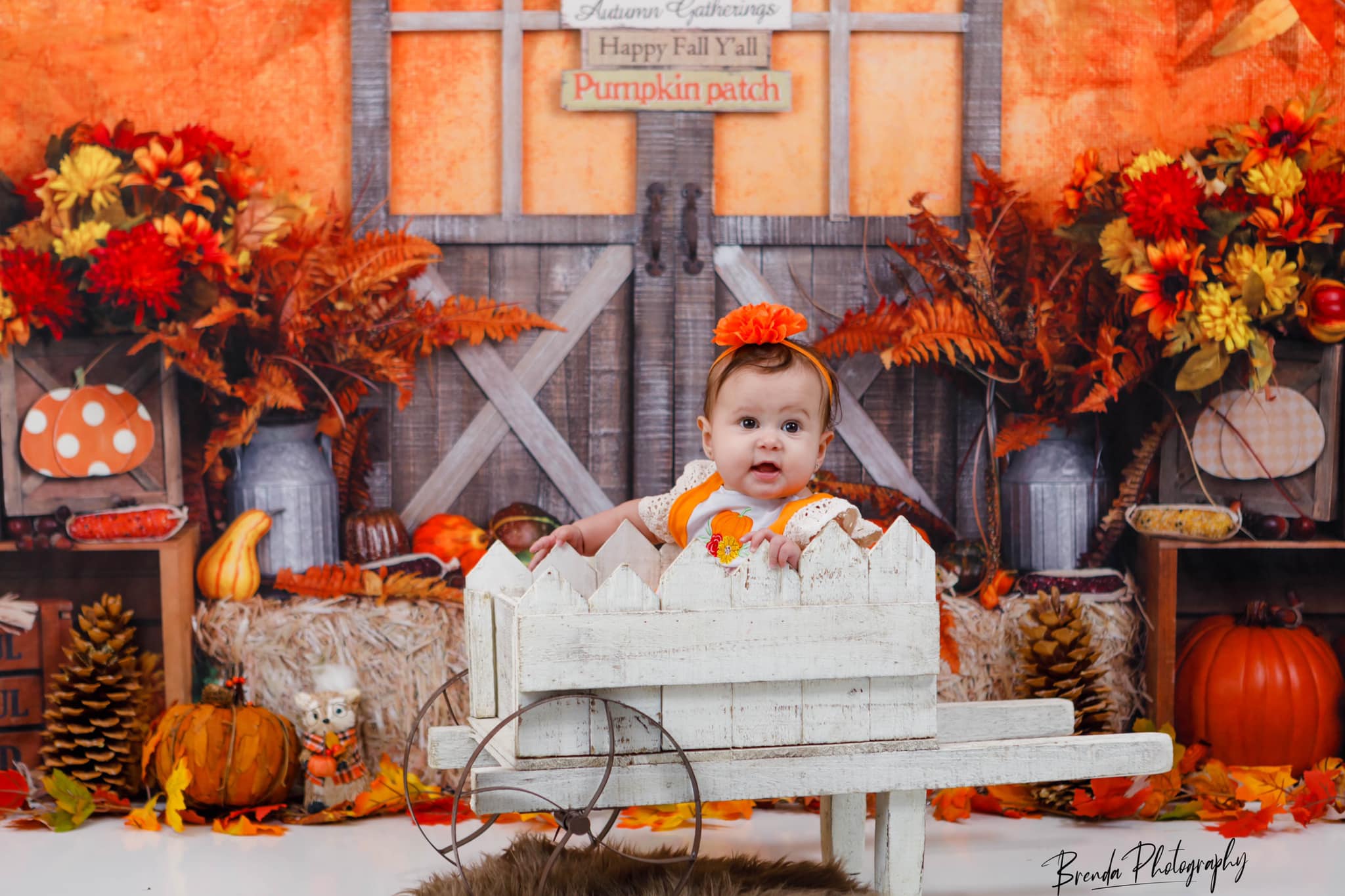 Kate Autumn Leaves with Pumpkins Thanksgiving Backdrop - Kate Backdrop