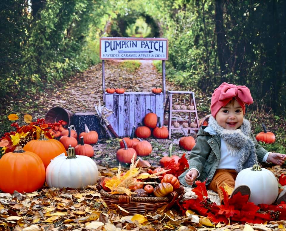 Kate Autumn/Thanksgiving Backdrop Pumpkin Stand Designed by Mandy Ringe Photography - Kate Backdrop