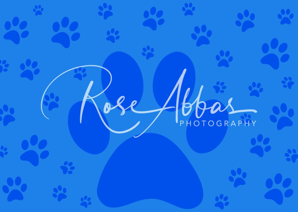Kate Blue Clue Backdrop Paw Print for Photography Kate Blue Clue Backdrop Paw Print for Photography