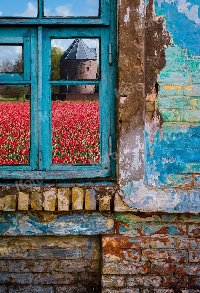 Sfondo giardino a finestra blu per fotografia