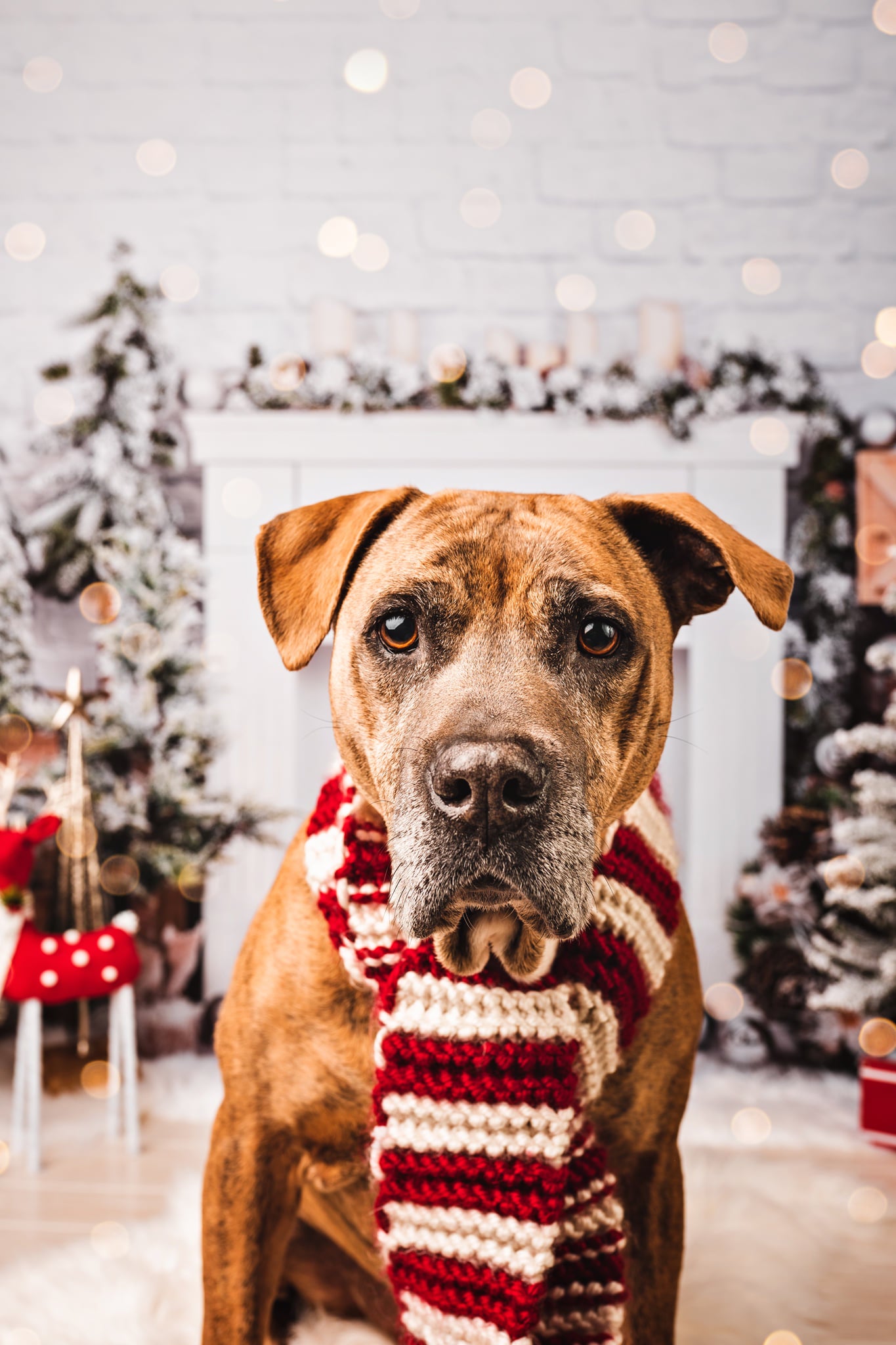 Kate Christmas Brick Fireplace Backdrop Designed by Emetselch - Kate Backdrop