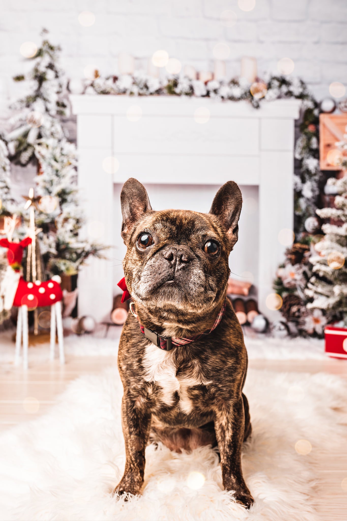 Kate Christmas Brick Fireplace Backdrop Designed by Emetselch - Kate Backdrop