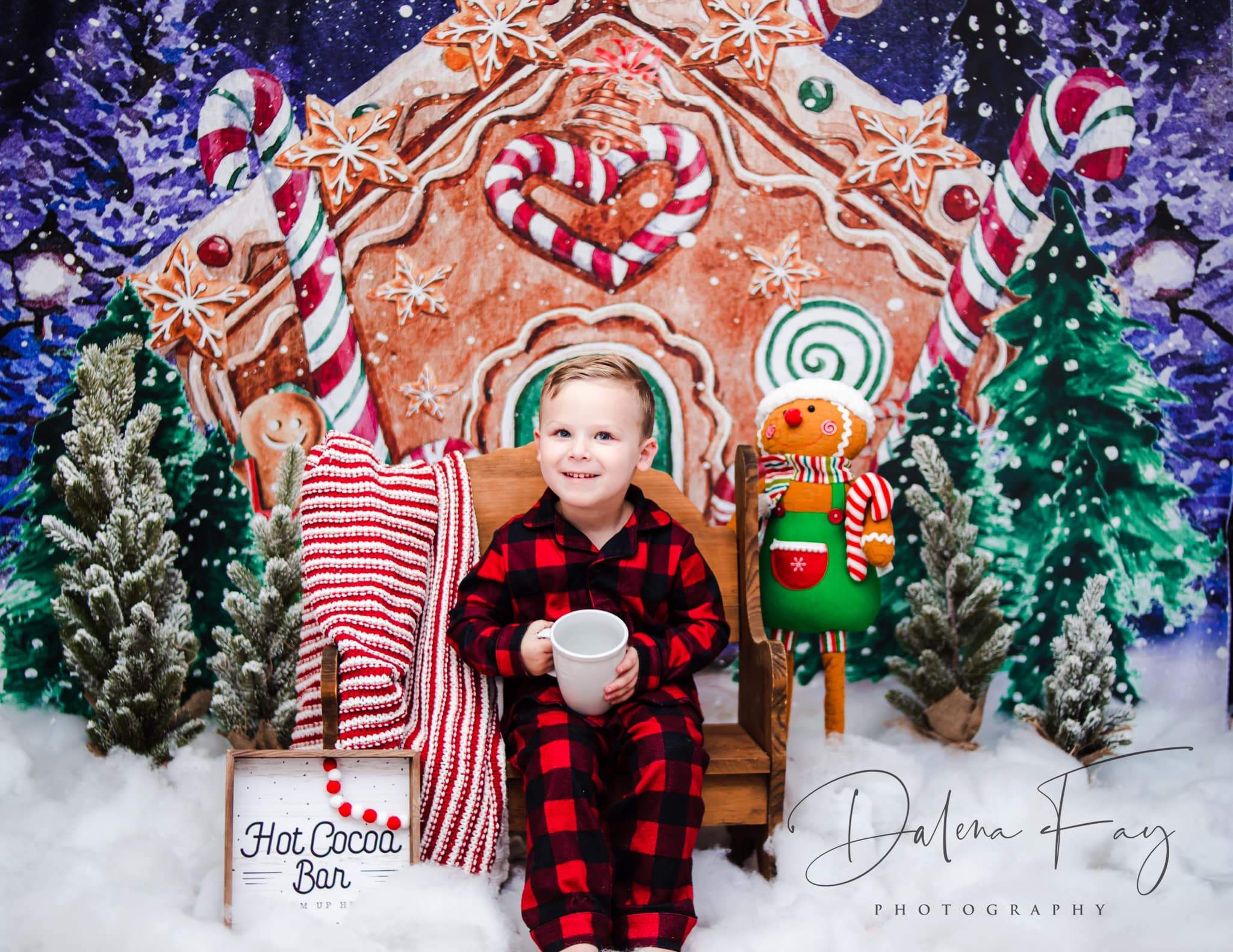 Kate Christmas Hot Cocoa Backdrop Outside Gingerbread House Designed by GQ - Kate Backdrop