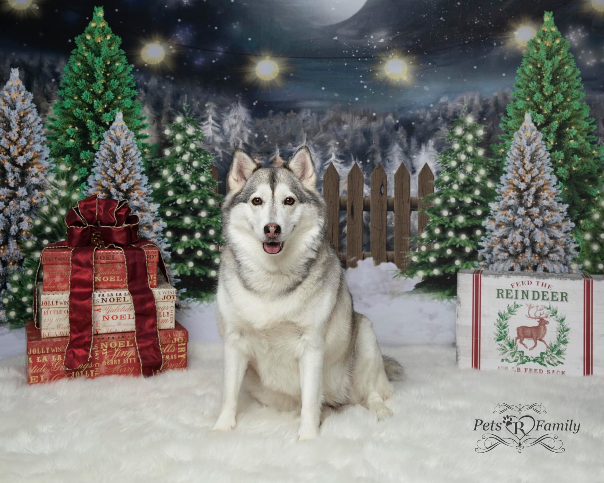 Kate Christmas Night Pine Trees Farm Backdrop Designed By Jerry_Sina - Kate Backdrop