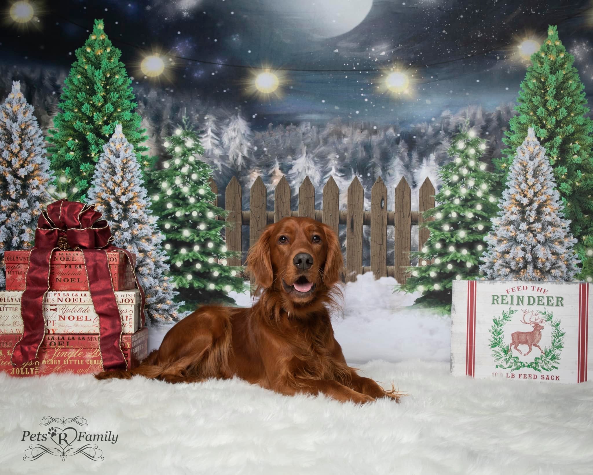 Kate Christmas Night Pine Trees Farm Backdrop Designed By Jerry_Sina - Kate Backdrop
