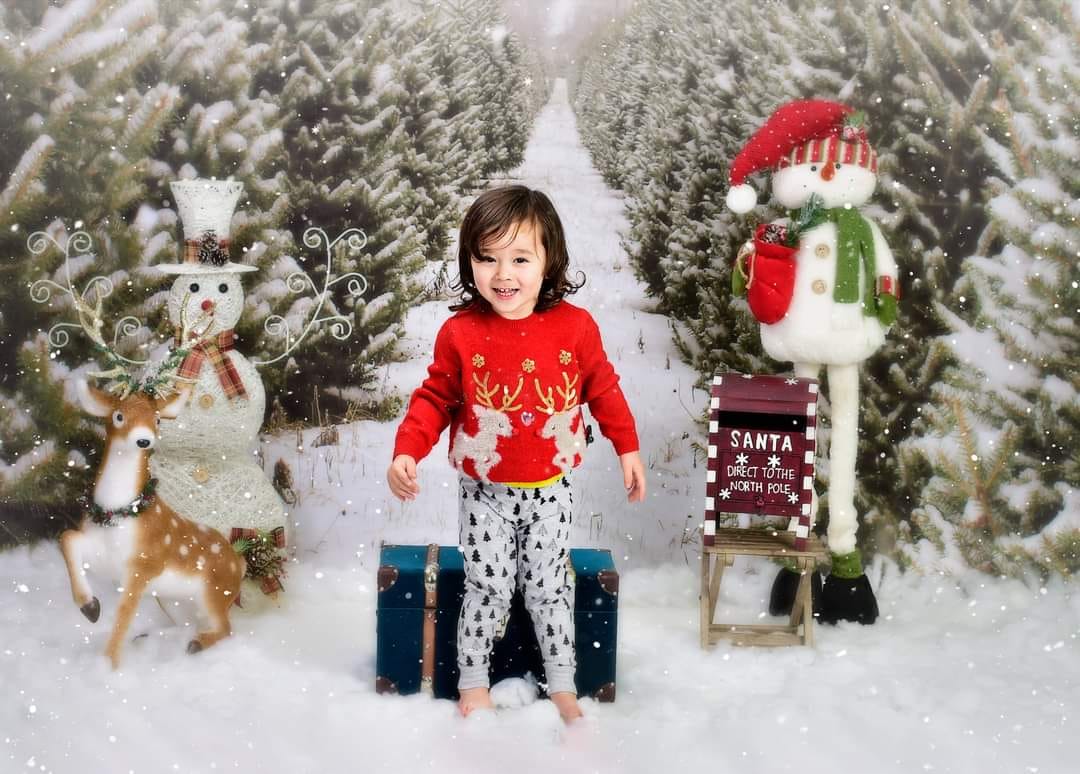 Kate Christmas Pine Tree Farm Path Backdrop for Photography - Kate Backdrop