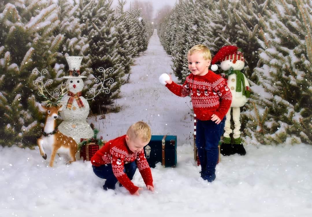 Kate Christmas Pine Tree Farm Path Backdrop for Photography - Kate Backdrop