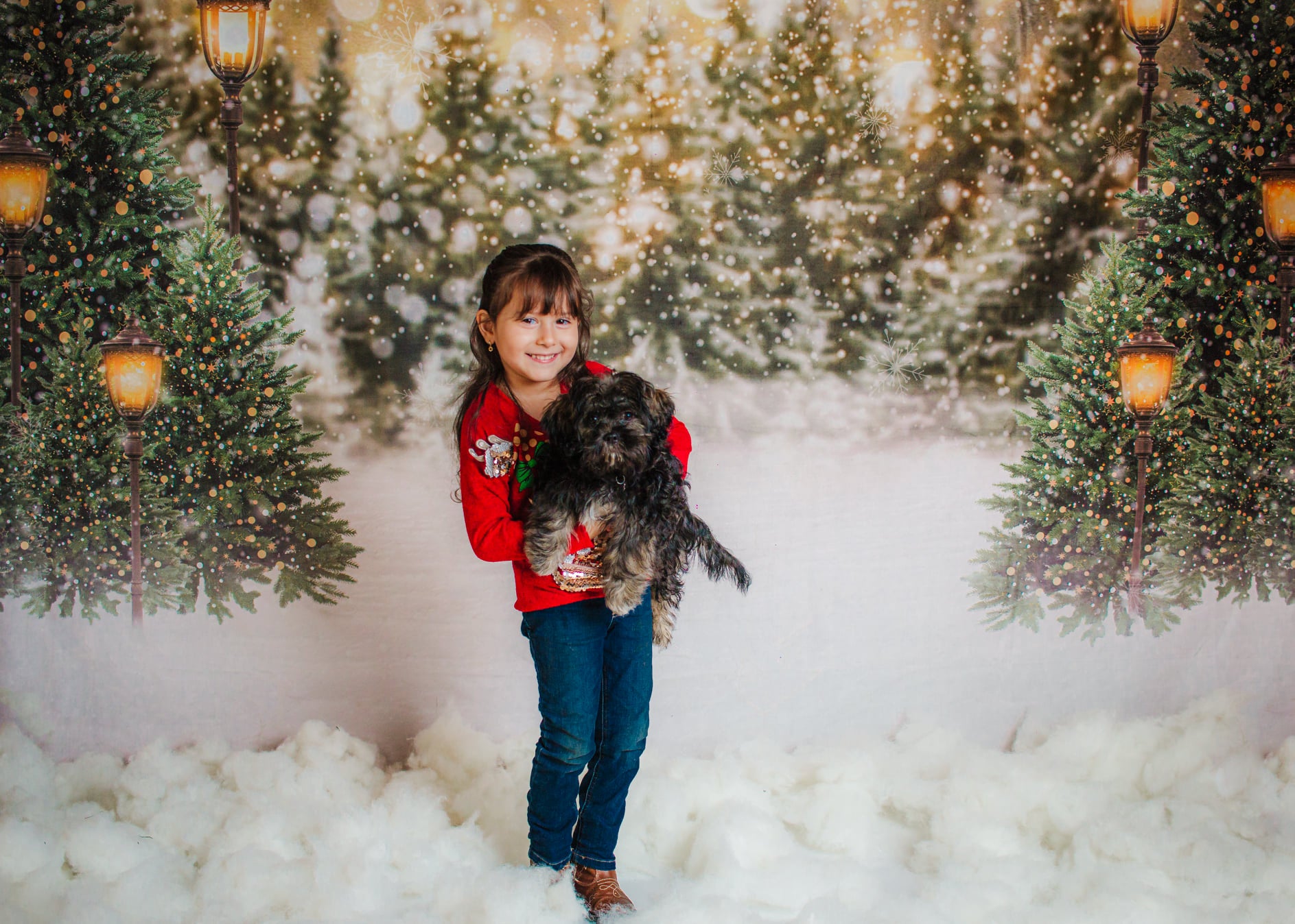 Kate Christmas Snow Forest Lights Backdrop for Photography