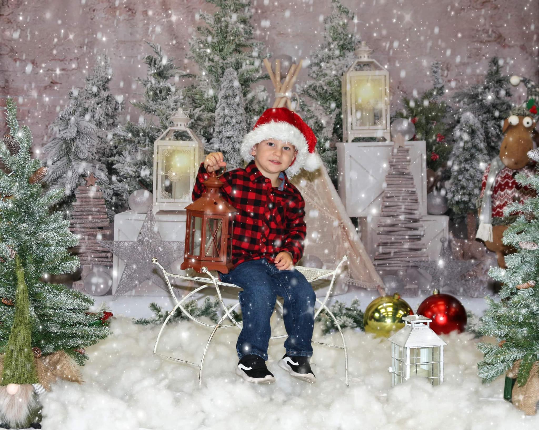 Kate Christmas Trees Tent Backdrop Designed by Emetselch - Kate Backdrop