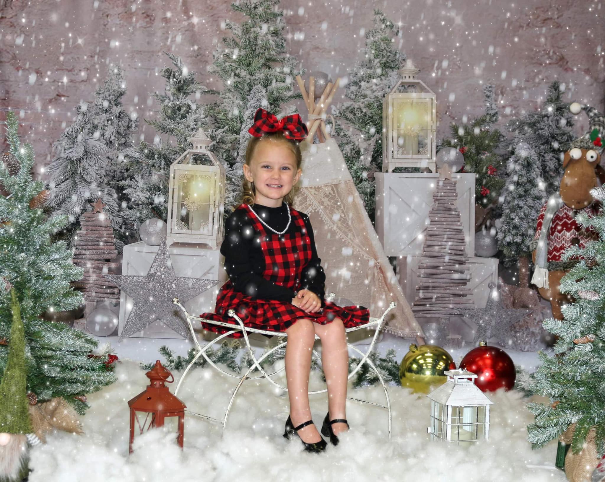 Kate Christmas Trees Tent Backdrop Designed by Emetselch - Kate Backdrop
