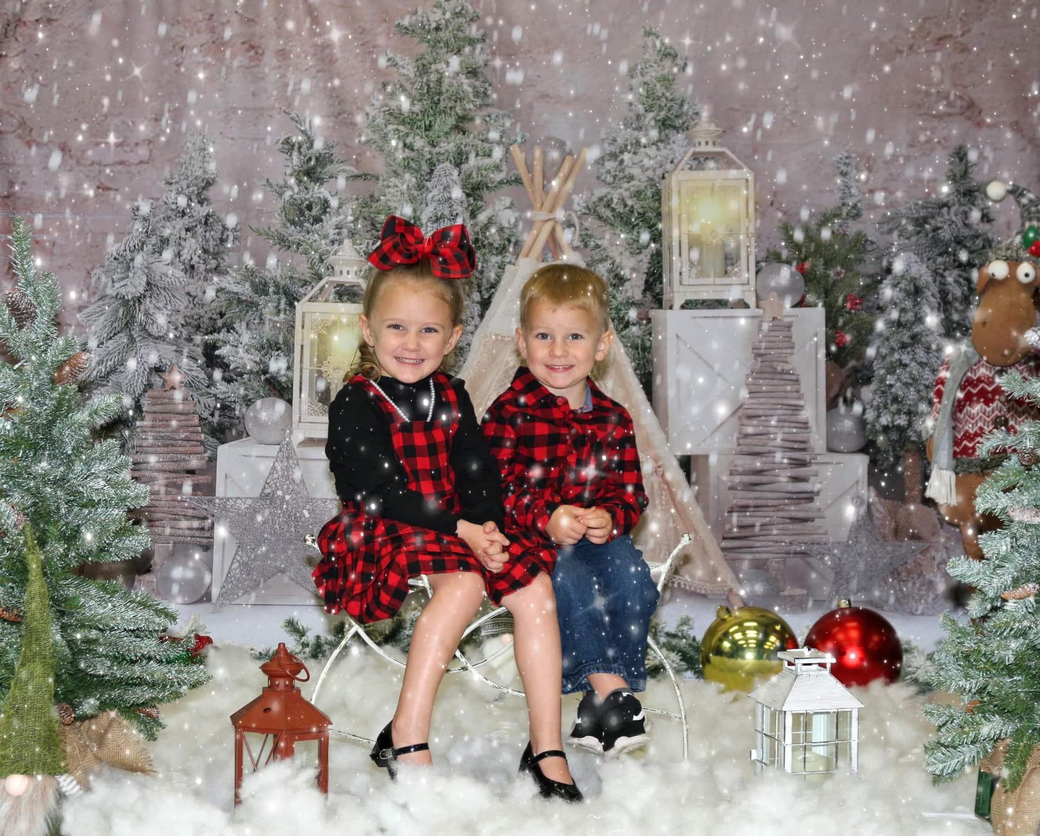 Kate Christmas Trees Tent Backdrop Designed by Emetselch - Kate Backdrop