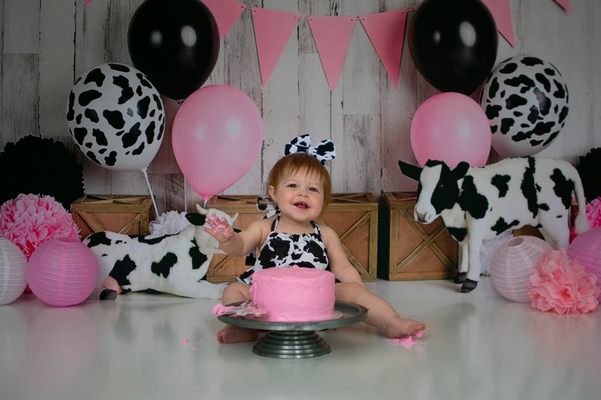 Kate Cow Girly Birthday Children Backdrop Designed By Mandy Ringe Photography - Kate Backdrop