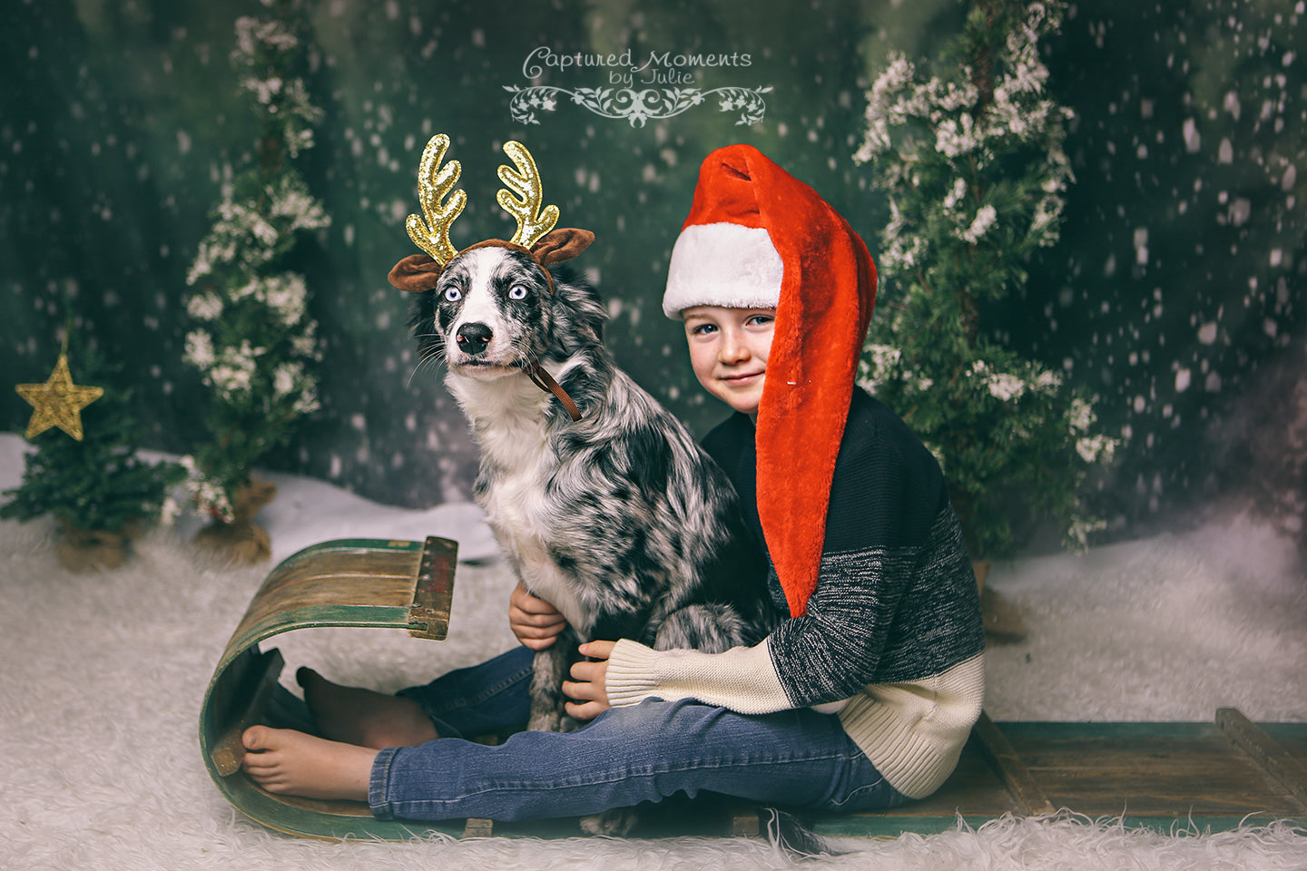 Kate Dazzling Winter Snowy Forest Backdrop for Photography Designed by Modest Brushes - Kate Backdrop