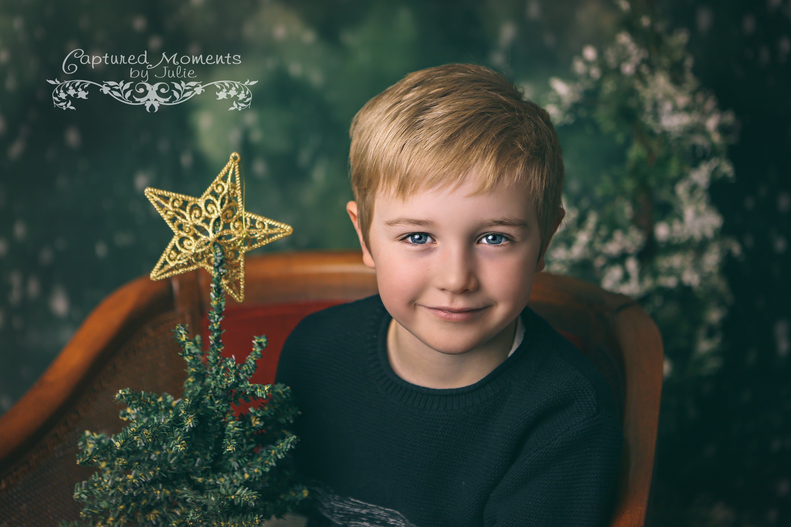 Kate Dazzling Winter Snowy Forest Backdrop for Photography Designed by Modest Brushes - Kate Backdrop