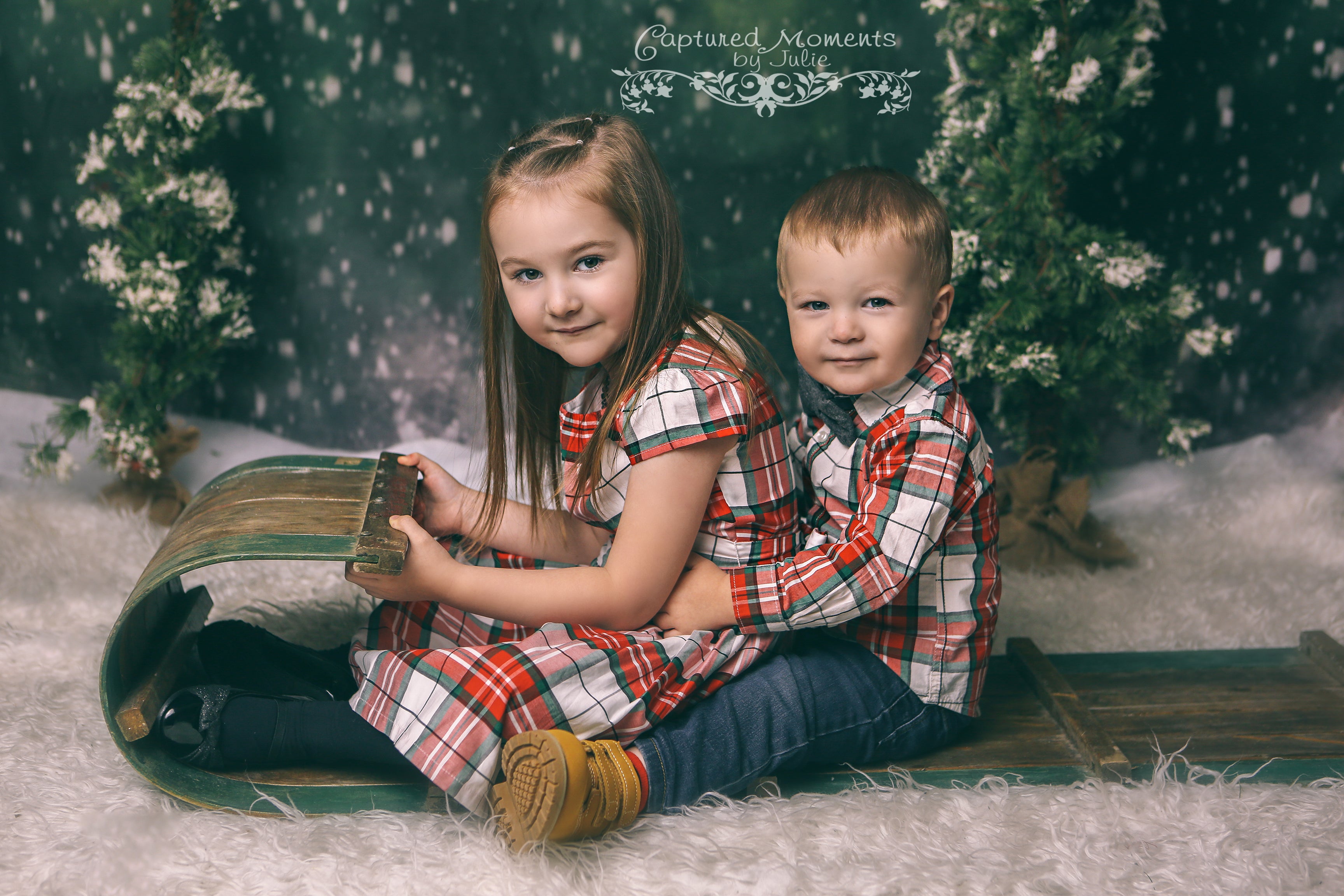 Kate Dazzling Winter Snowy Forest Backdrop for Photography Designed by Modest Brushes - Kate Backdrop