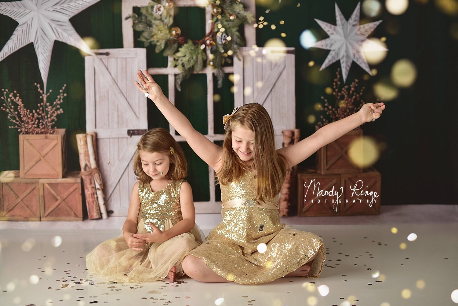 Kate Evergreen Christmas Holiday Backdrop Designed by Mandy Ringe Photography - Kate Backdrop