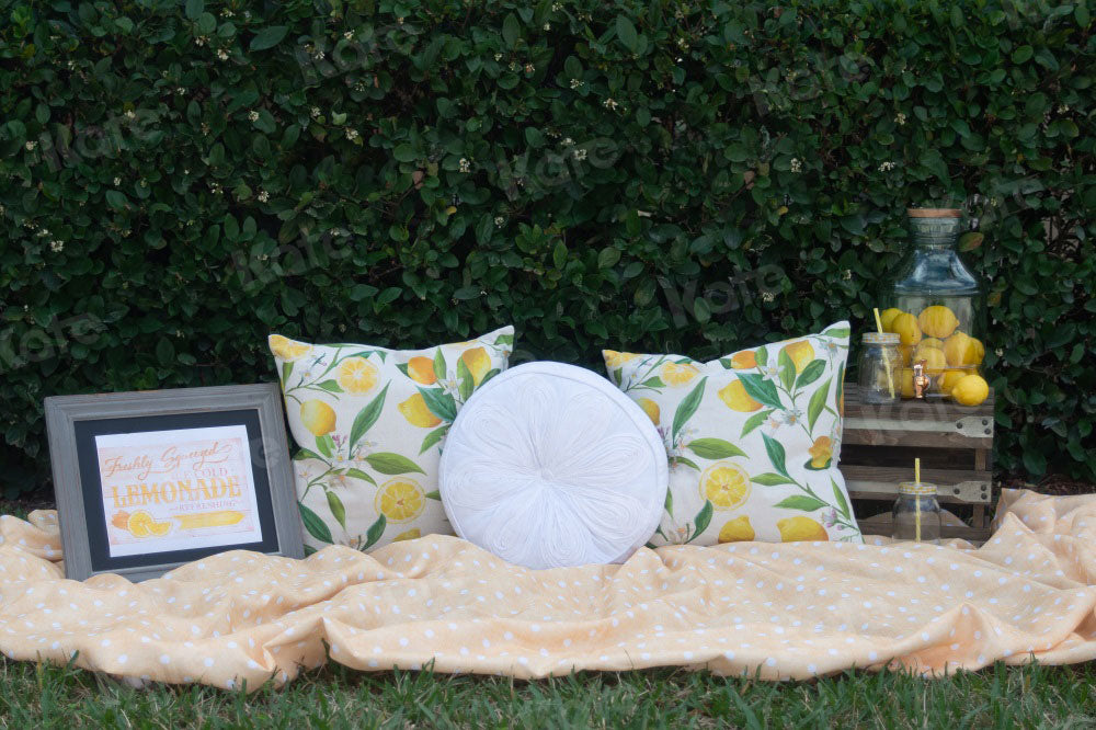 Kate Holiday Picnic Pillows Spring Backdrop for Photography Designed by Tyna Renner - Kate Backdrop