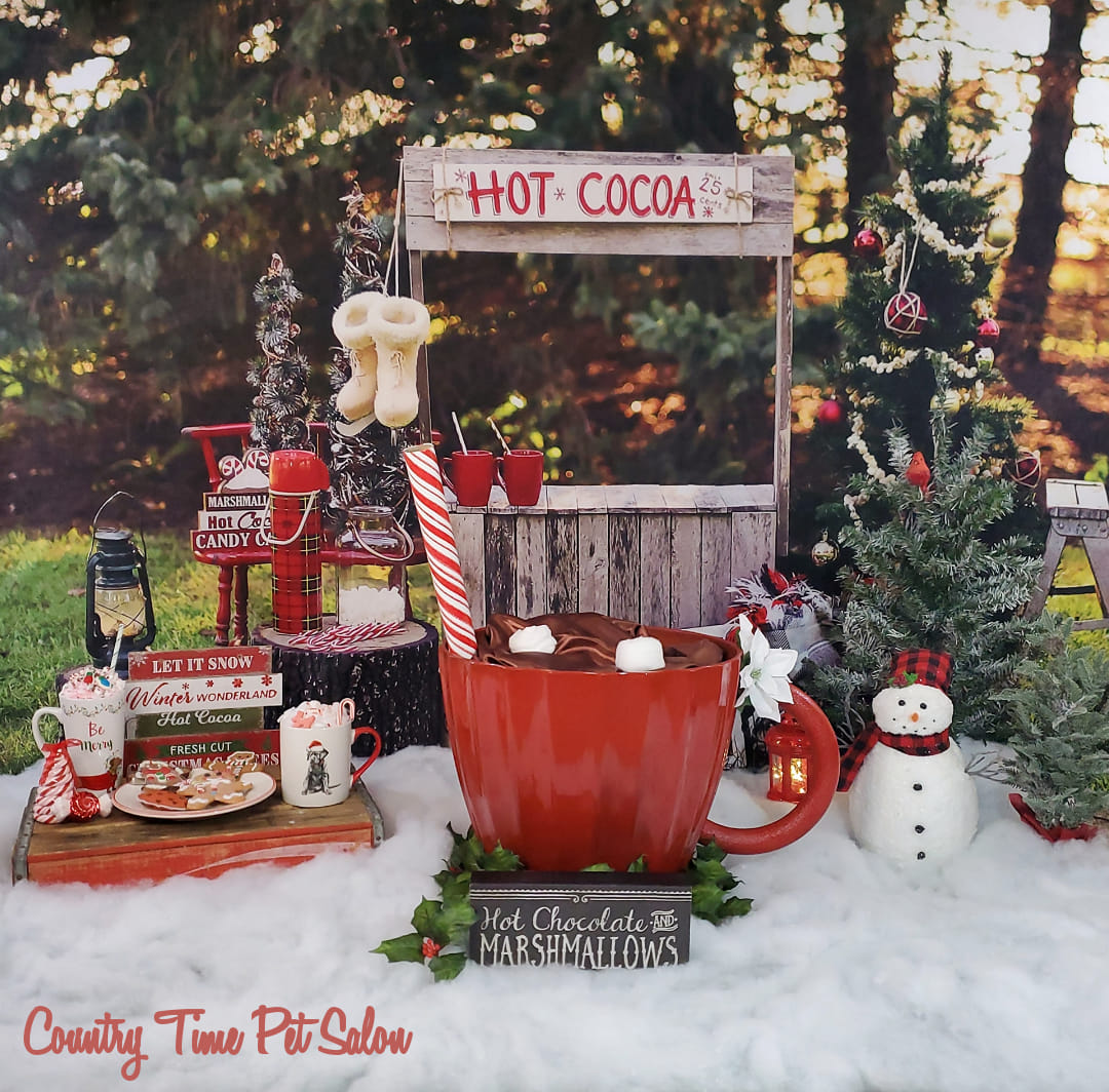 Kate Hot Cocoa Stand Backdrop Designed by Mandy Ringe Photography - Kate Backdrop
