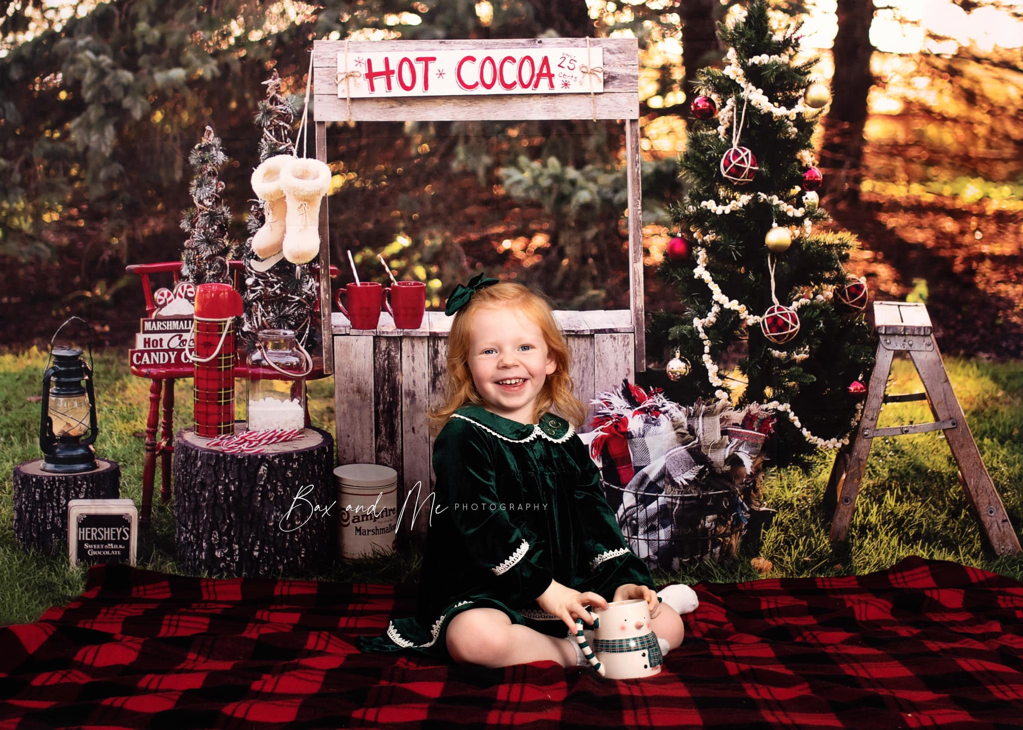 Kate Hot Cocoa Stand Backdrop Designed by Mandy Ringe Photography - Kate Backdrop