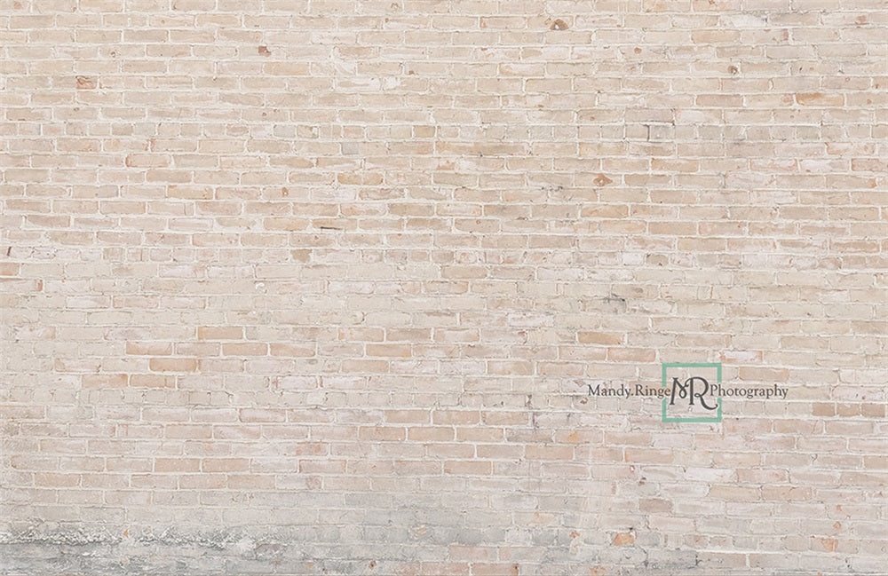 Kate Light and Creamy Backdrop Farmhouse Brick Designed by Mandy Ringe Photography