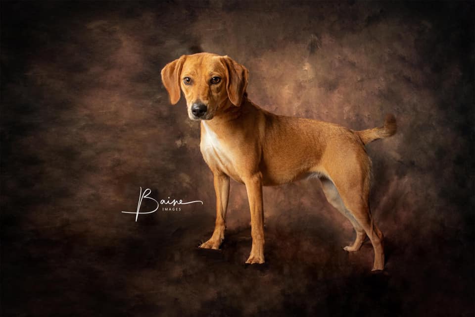 Kate Like Oil Painting Background Abstract Texture Backdrops For Photography - Katebackdrop