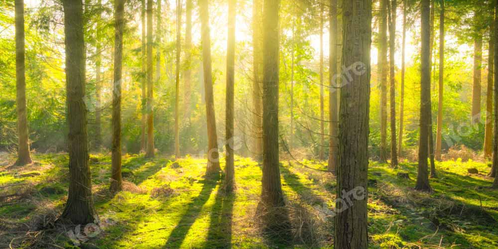 Kate Spring Sunshine Natural Forest Backdrop Designed by Kate Image