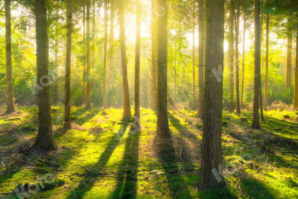 Kate Spring Sunshine Natural Forest Backdrop Designed by Kate Image