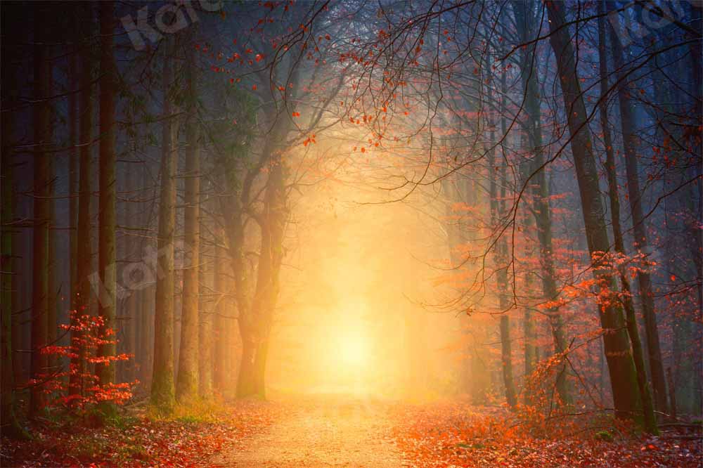 Kate Natural Forest Path Backdrop Designed by Kate Image