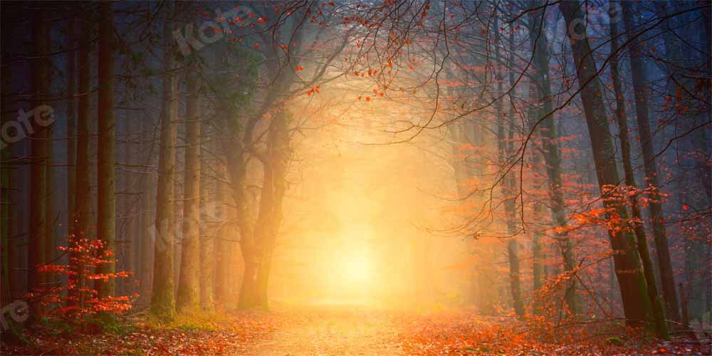 Kate Natural Forest Path Backdrop Designed by Kate Image