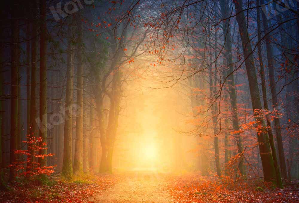 Kate Natural Forest Path Backdrop Designed by Kate Image