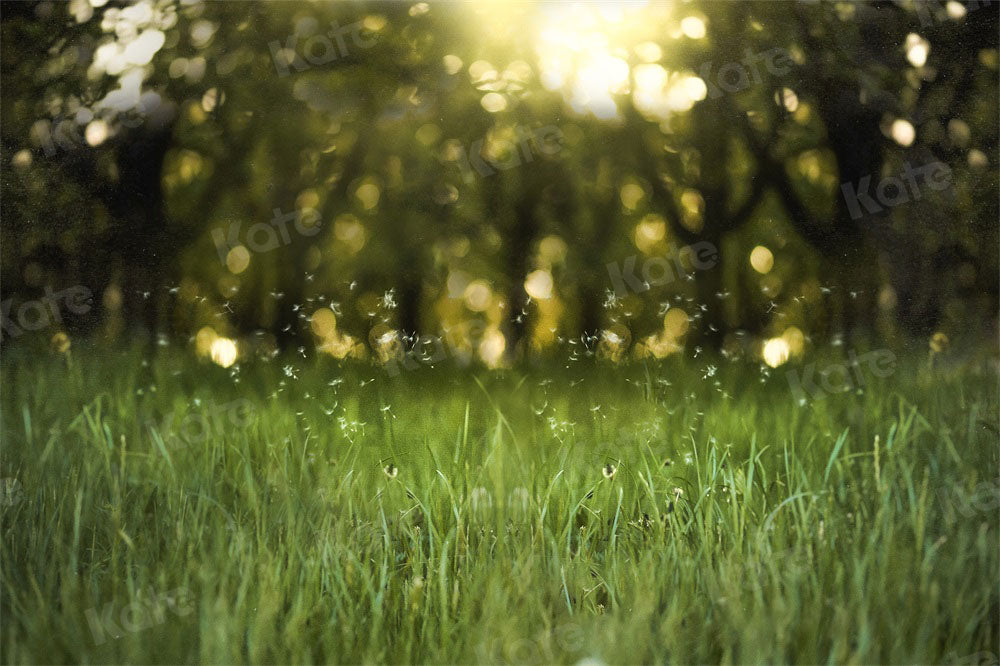 Kate Natural Green Backdrop Scene Bokeh for Photography