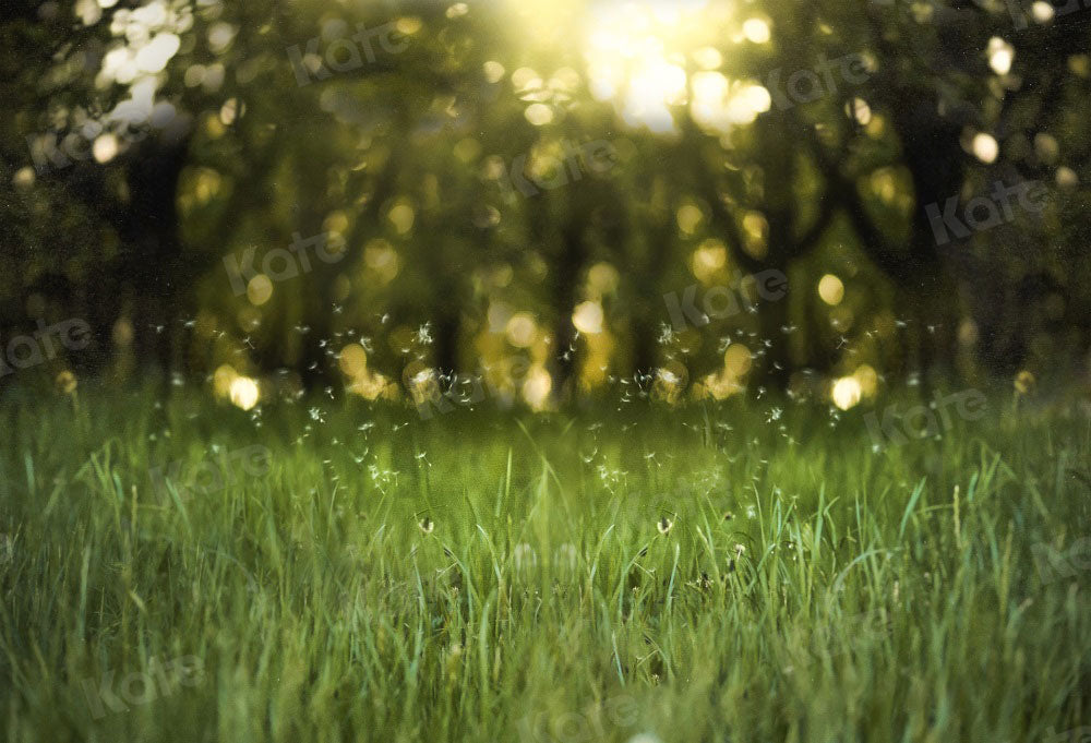 Kate Natural Green Backdrop Scene Bokeh for Photography