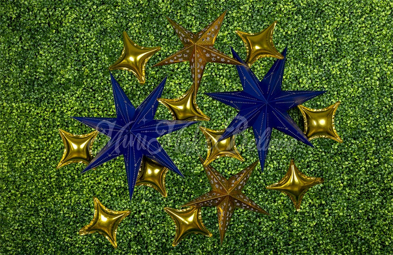 Kate Navy Gold Stars Backdrop Boy Cake Smash Designed by Mini MakeBelieve