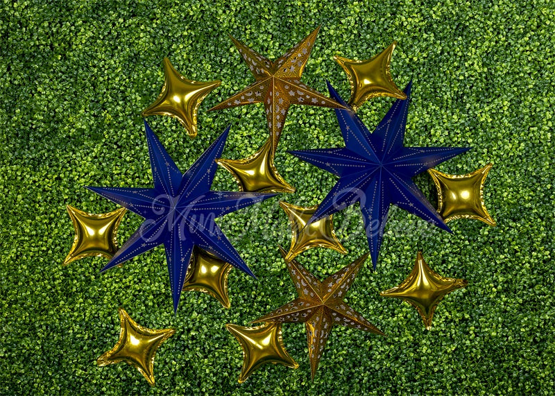 Kate Navy Gold Stars Backdrop Boy Cake Smash Designed by Mini MakeBelieve