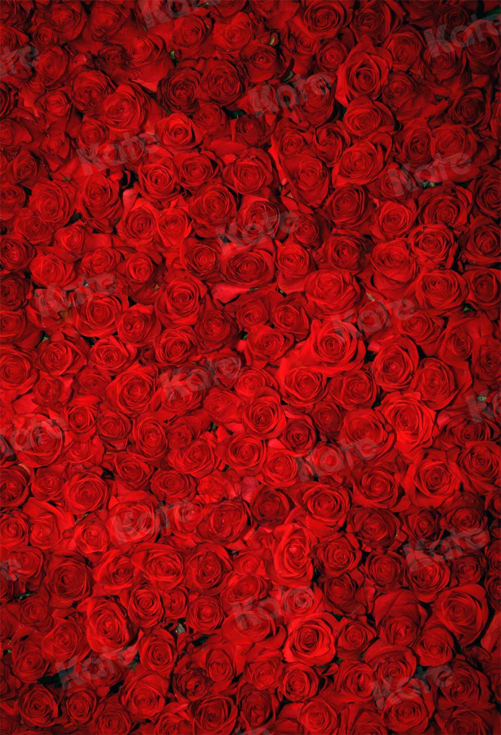 Kate Red Roses Valentine's Day Florals Photography Backdrop - Katebackdrop