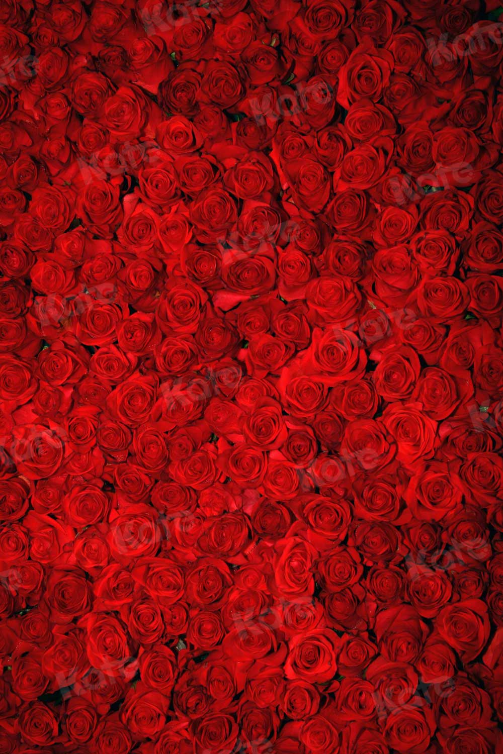 Kate Red Roses Valentine's Day Florals Photography Backdrop - Katebackdrop