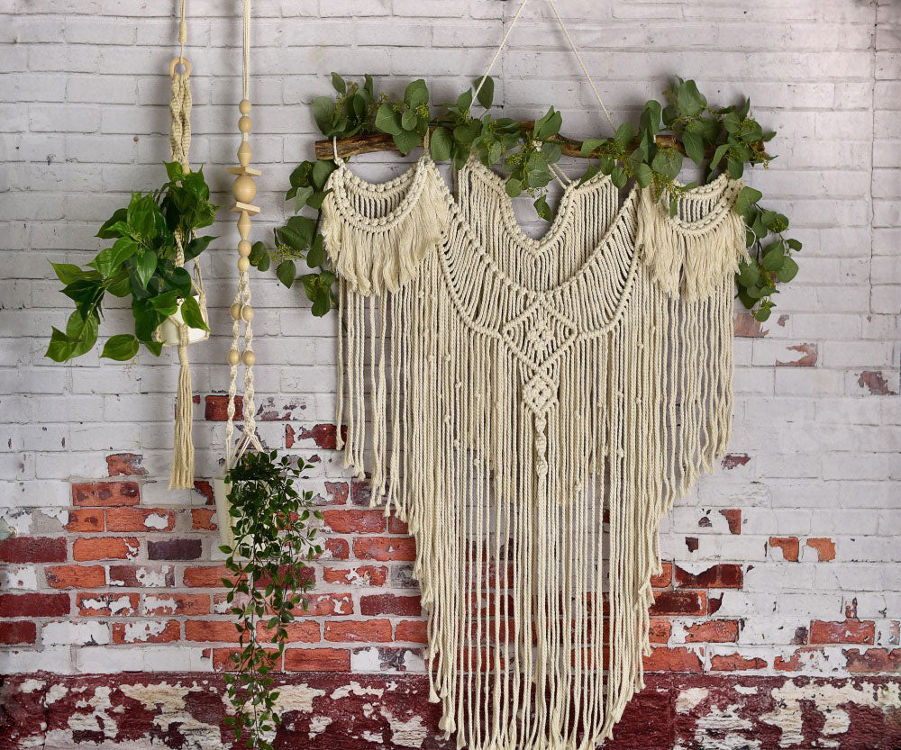Kate Spring/mother's Day Boho Macrame Wall with Plants Backdrop Designed By Mandy Ringe Photography - Kate Backdrop