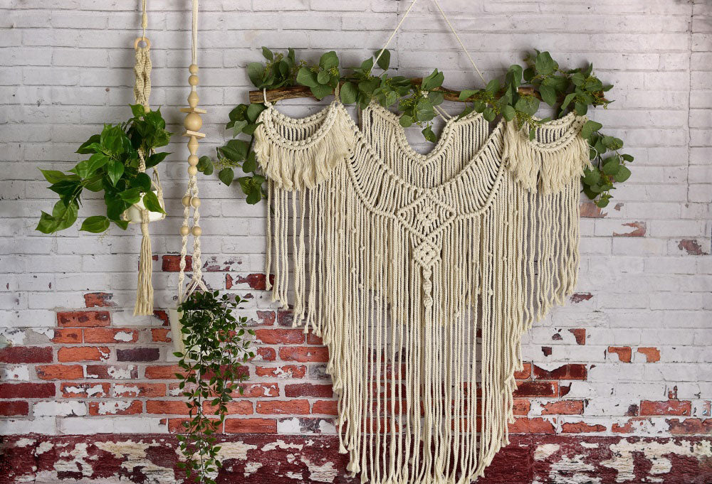 Kate Spring/mother's Day Boho Macrame Wall with Plants Backdrop Designed By Mandy Ringe Photography - Kate Backdrop