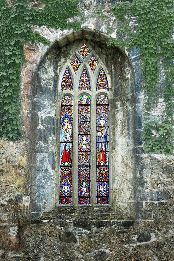 Sfondo murale in pietra verde piante per fotografia