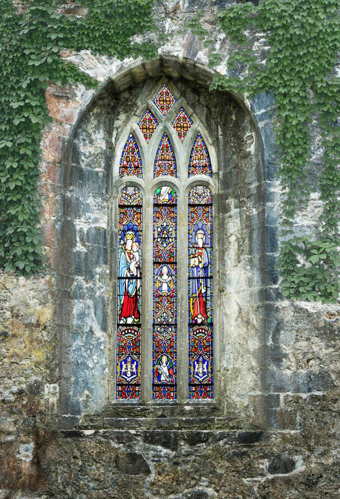 Sfondo murale in pietra verde piante per fotografia