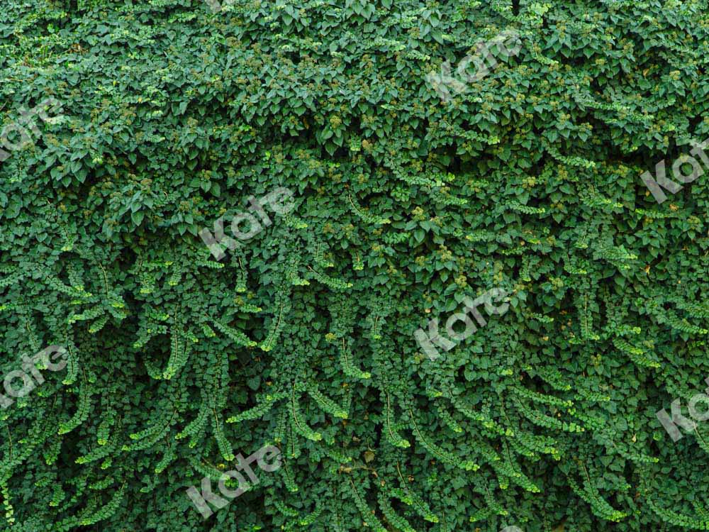 Kate Summer Plant Wall Backdrop Green Leaves Designed by Chain Photography