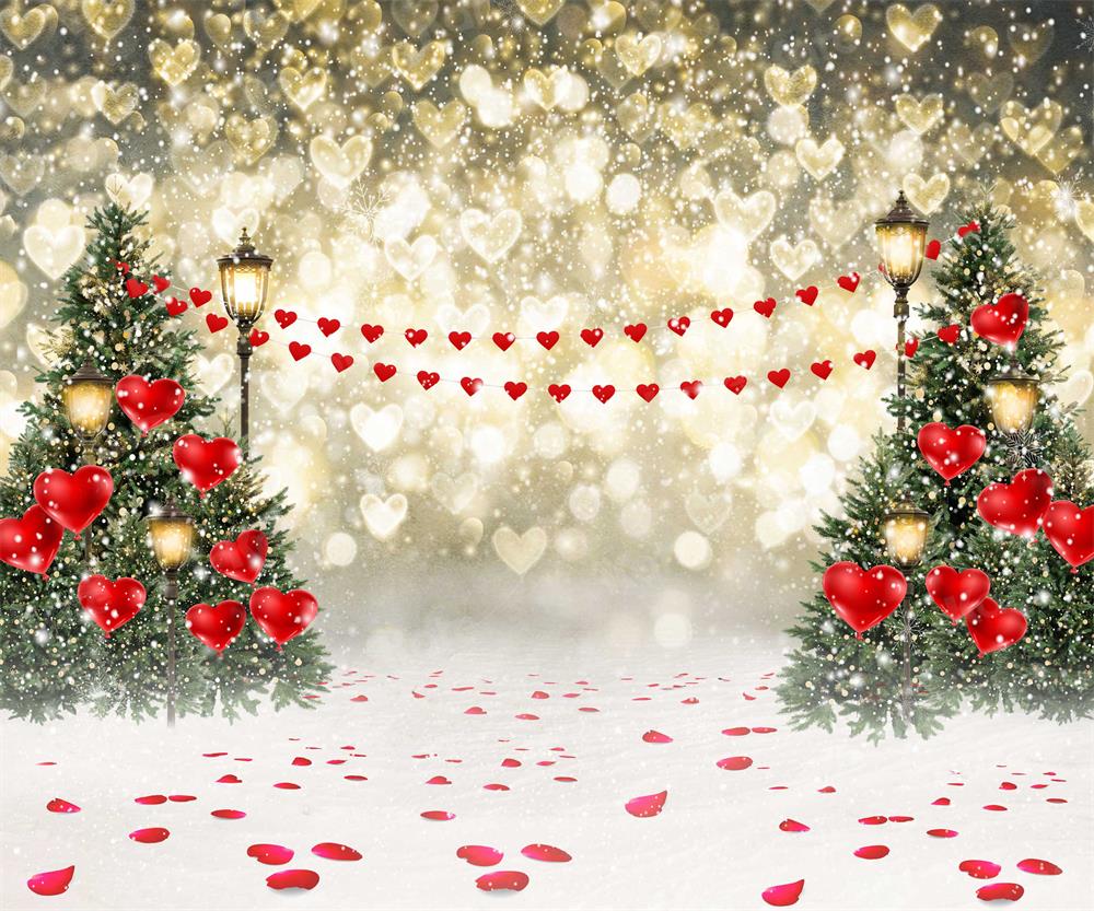 Kate Valentine's Day Backdrop Bokeh Snow Scene for Photography