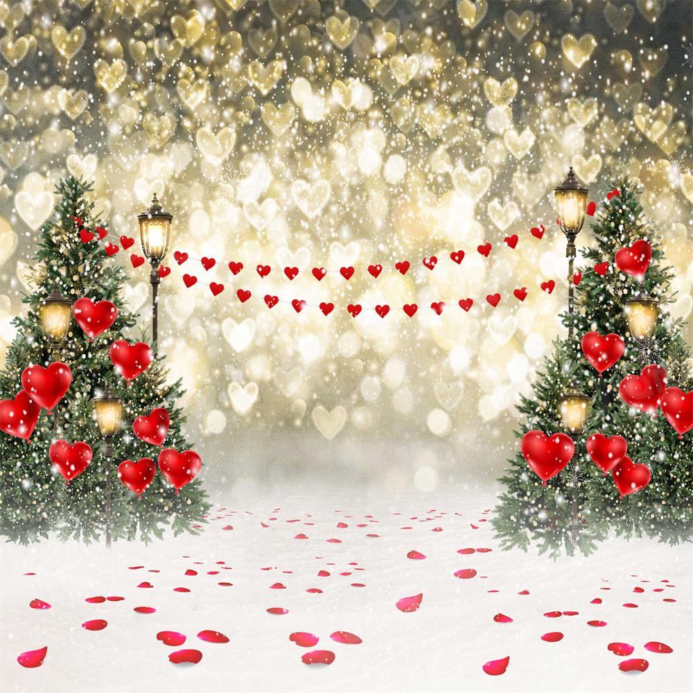 Kate Valentine's Day Backdrop Bokeh Snow Scene for Photography